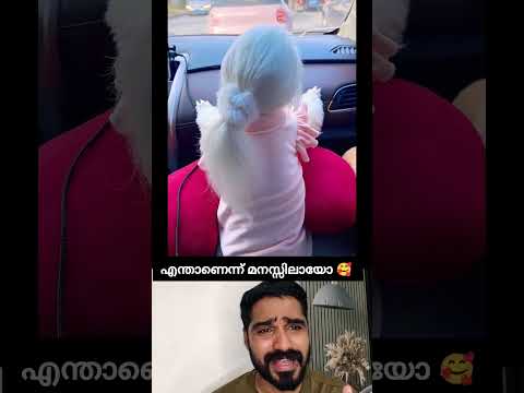 ഇവൻ ആരാണെന്ന് മനസ്സിലായോ 🥰 #shorts #cute #viral #puppies #reaction #dog