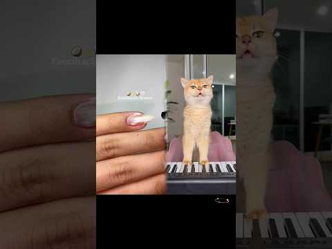 #forget #comedy #skit #shorts #pov #fpy #fy #povs #youtobe #foryoupage #nj #viral