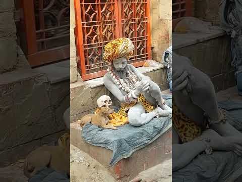 Aghori baba ki jai #jaimahakal #shambhu #publicpost #trending #ytshorts #explore #shorts #mahadev