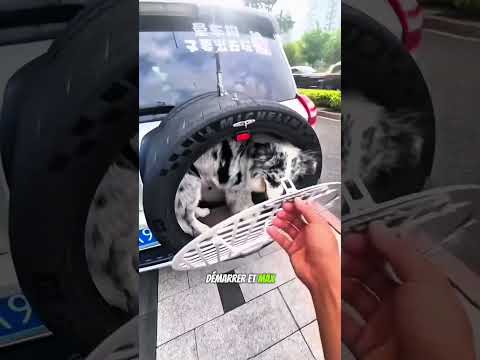 Une drôle de surprise dans le pneu de papa ! 😲🚗🐾