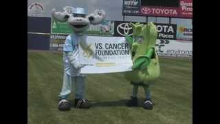 Blue Rocks & Vs. Cancer Foundation