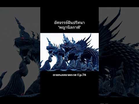 อัศจรรย์ฝันปริศนา ‘พญานิลกาฬ’ #พญานาค #พญานิลกาฬนาคราช #ถ้ำจินดามณี  #ตามรอยนาคราช #ไฮไลท์