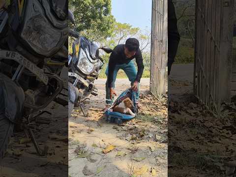 Made me crazy🐕😲😲#funny #comedy #viralvideo #fun #subscribe #like #foryou #shortvideo