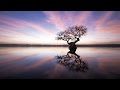 Exploring the Everglades and Conservation Photography