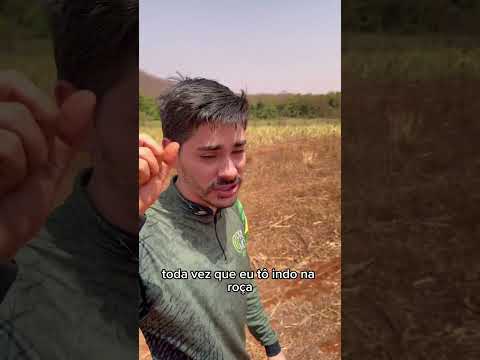 Tá muito quente  Seu Duardo 🥵 o final 😂#primosagro # #viral #produtorrural #agro #seuduardo