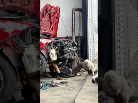 Аn ordinary day at an ordinary service station🛠️Обычный день на обычном автосервисе 🛠️ #reaction