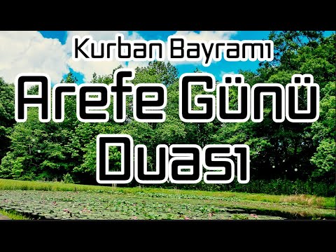 Arife Günü Duası- Rabbimiz! Bize faydalı ilim, helal kazanç, sağlıklı bir ömür ihsan eyle.Âmin!