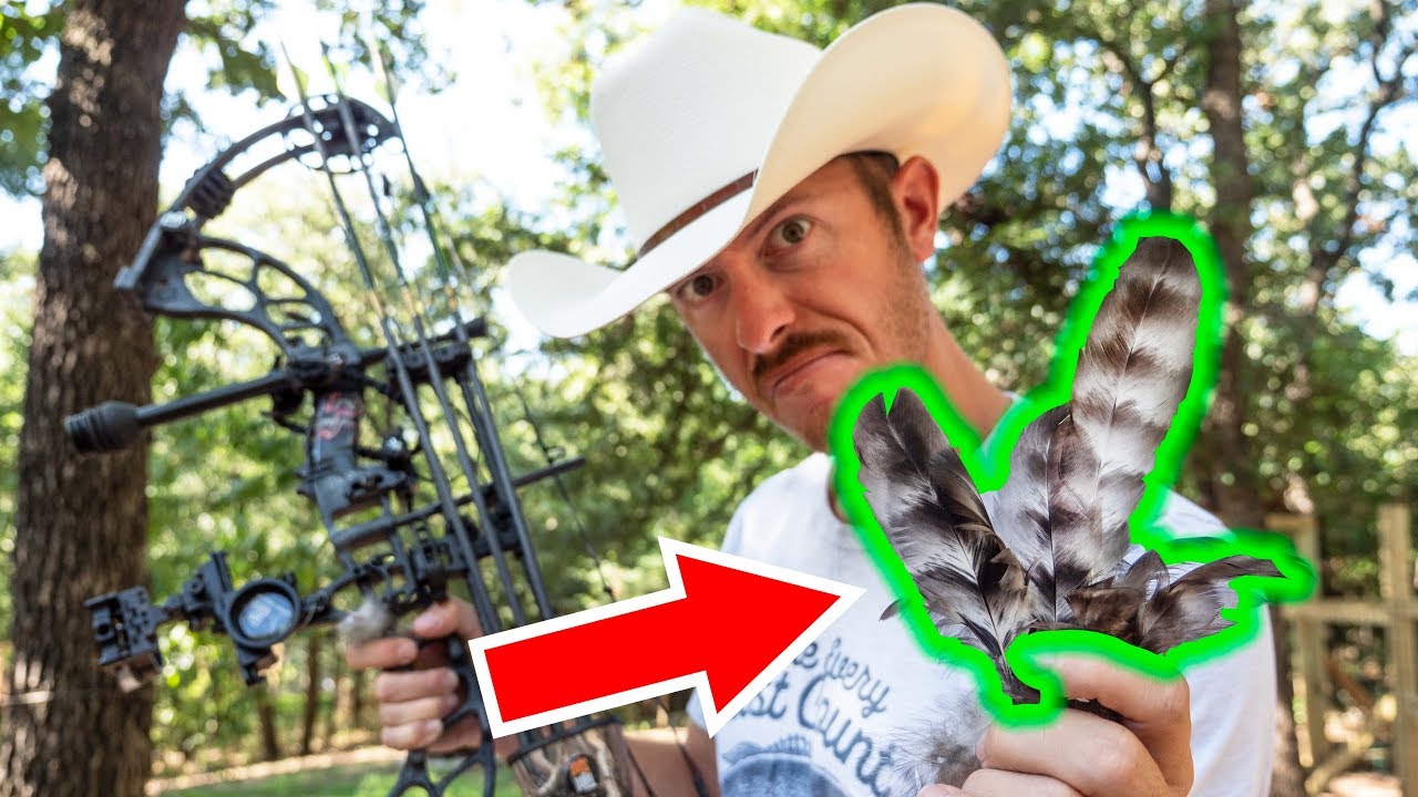 MYSTERY ANIMAL ATTACKED My BACKYARD CHICKENS!