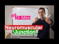 Neuromuscular Junction and Muscle Contraction