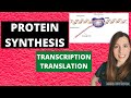 DNA and Protein Synthesis Concepts