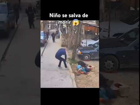 Niño se salva de morir por un perro 😱 #reels  #viral #pitbull #dog #buenagente