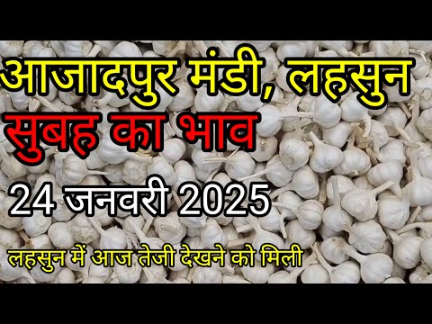 आजादपुर मंडी आज का लहसुन का भाव | Aaj Ka Lahsun Ka Bhav Today | Lahsun Ka Bhav | Garlic Price #2