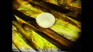 Mikansei No Torii | 06 | Polish-Japanese Analog Horror