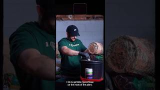 Building the Ultimate Living Soil with Gaia Green! 🛠️🌍