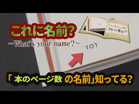 "本のページ数"の名前知ってる？ | HTB北海道テレビ放送 イチオシ!! 「君の名は」