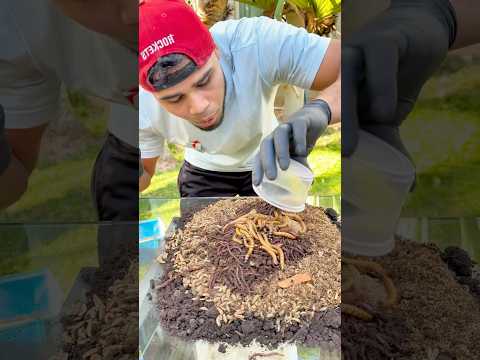 Olha oque esse bicho fez com o peixe
