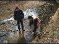Environmental Science Concepts Assessment