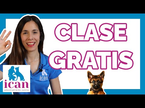 CURSO Cómo EDUCAR a un PERRO (CLASE GRATIS)