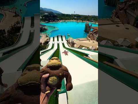 Squishy Monkey's Epic Water Avoidance Challenge!