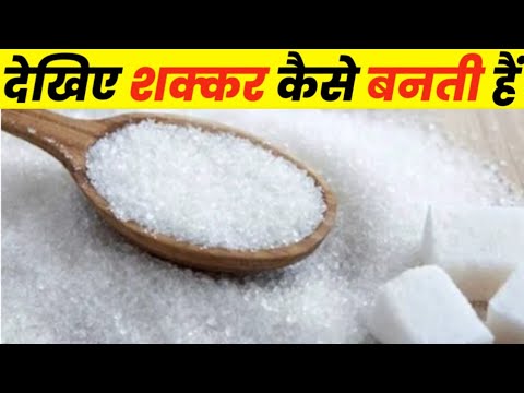 देखिए शक्कर कैसे बनती हैं | पूरी जानकारी by dhakad k facts || #facts #viralvideo