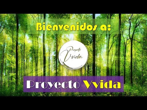 Te presentamos: "PROYECTO VVIDA"