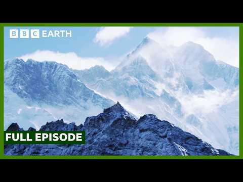 FULL EPISODE: One of the World's Most Remote Places: The Tibetan Plateau | Wild China | BBC Earth