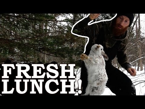 How To Snare Rabbit and Hares for Survival (Full Tutorial) - Boys and Traditional Masculinity