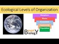 Exploring Levels of Organization in Ecology