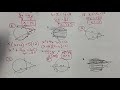 Solving Quadratic and Linear Equations