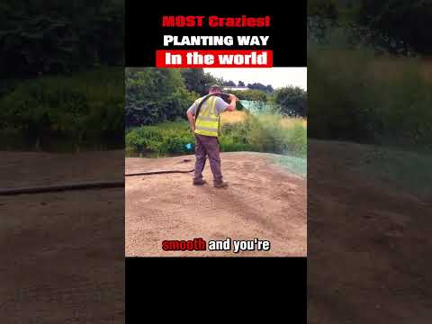 The craziest way to plant seeds in the world#trending#shorts#planting#worldmost