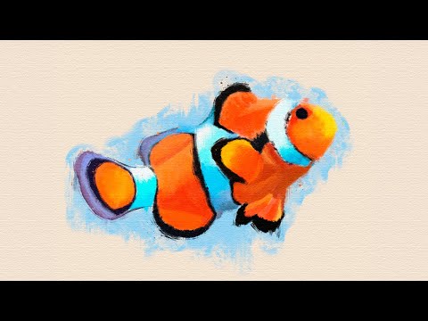 jovemD! - nemo 🐟