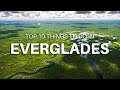 Everglades Wildlife and Tours