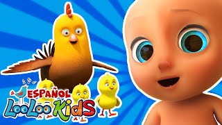 🎶🐥Los Pollitos + Baila Samba + Las Ruedas Del Autobus 🚍🎵 | Canciones Infantiles | LooLoo Kids Mix 📺