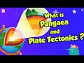 Tectonic Plates and Earth Movements