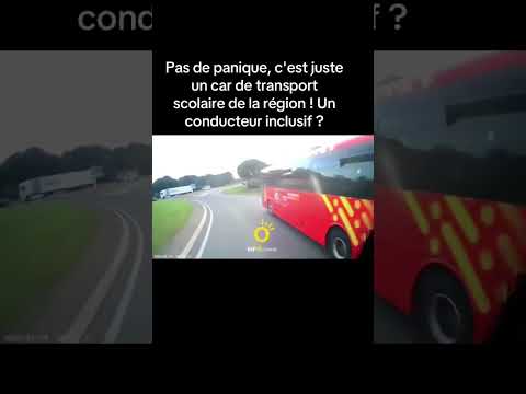 Je crois il est descendu le monter en l'air je suis pas sûr #permisdeconduire #automobile #conduire
