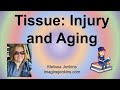 Tissue Healing and Aging Effects