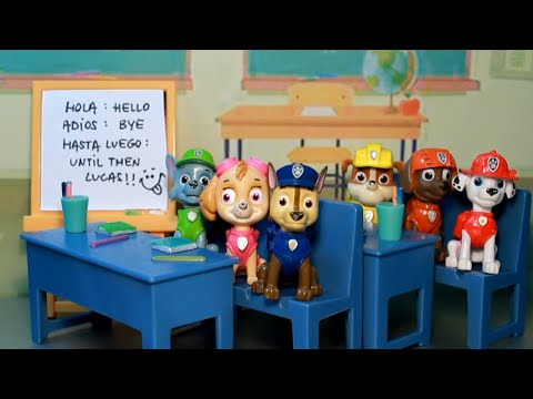 PATRULLA CANINA VUELTA AL COLE 📖 PAW PATROL PUPS AT SCHOOL ESCUELA PATRULLA DE CACHORROS 😂