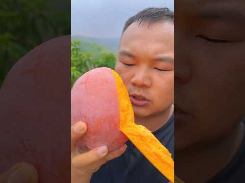 Beautiful mango farm - Very fresh sweet mango fruit harvesting