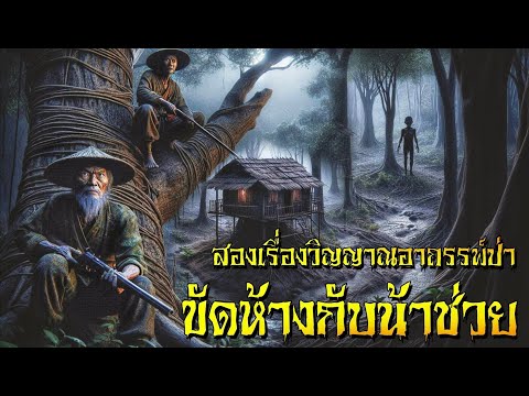 นั่งห้างกับน้าช่วย สองเรื่องวิญญาณอาถรรพ์ป่า #พรานนั่งห้าง #เรื่องเล่าพรานป่า #horrorstories