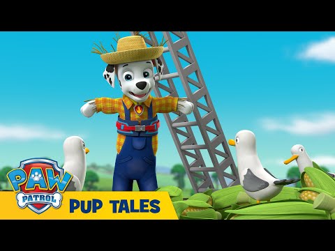 🐶 Pups Save a Popped Top | PAW Patrol | Cartoons for Kids