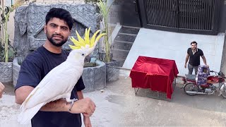 Turab Ka Parrot Mainy Receive Kr Lia 😍 Ab Aya Oonth Pahar K Neechy😎
