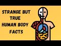 Understanding the Human Body