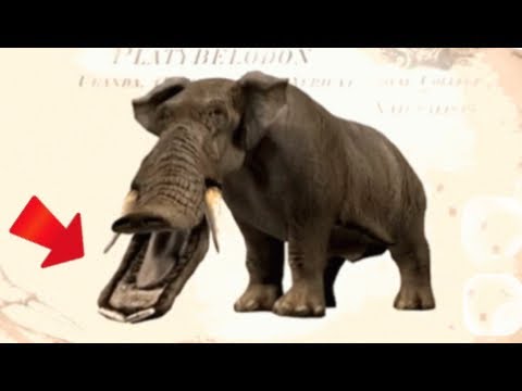 12 ANIMALES Que Gracias A DIOS Se EXTINGUIERON 😱