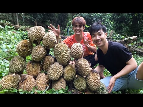 เกือบสิ้นชื่อ !! มาเก็บทุเรียนแต่เกือบโดนทุเรียนหล่นไส่หัว อีกนิดเดียวก็โดนแล้ว.