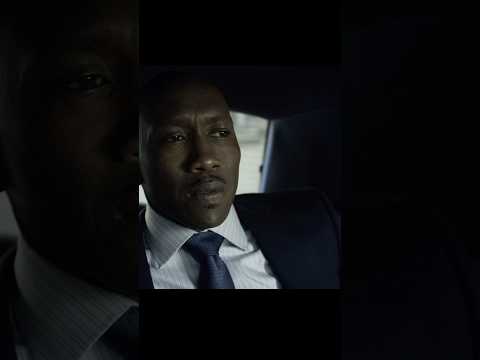 The Chief of Staff of the President has been detained by the police.#shortvideo #viralvideo #shorts