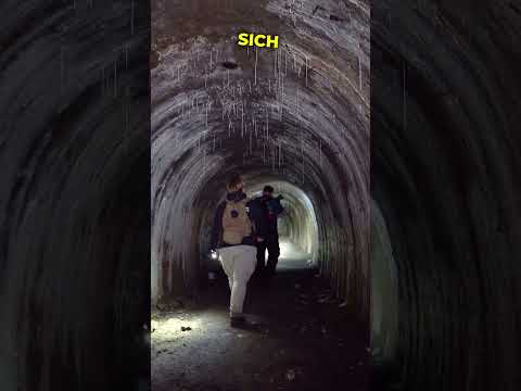 In diesem Bunker sind wir plötzlich nicht allein!