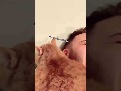 BEST COOT THROWBACKS! | Maseplace #cootloop #catshorts