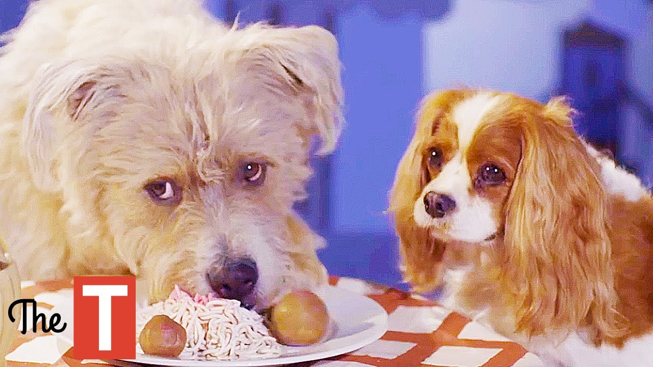 Lady And The Tramp Live Action Disney + Movie: The Siamese Cats