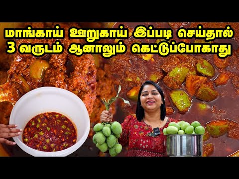 3 வருஷத்துக்கு வெளியே வைத்தாலும் கெட்டுப்போகாதுlMango Pickle| My Masal WhatsApp Order: +919035018089