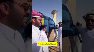 فحل منقية شقح النصر الدون 7
